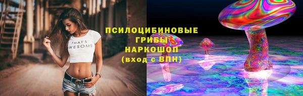 экстази Белокуриха