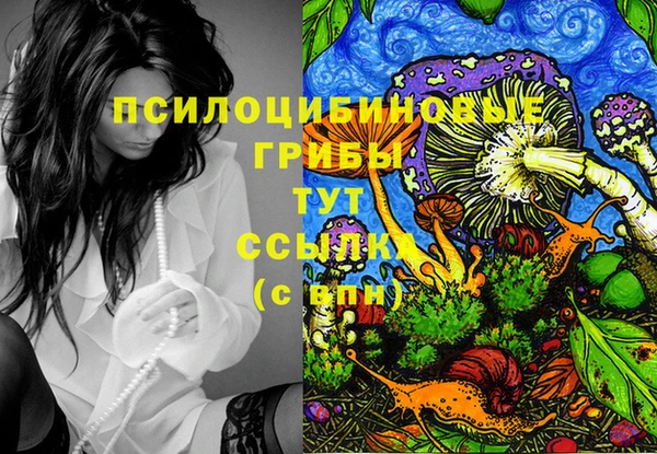 jwh Богородск