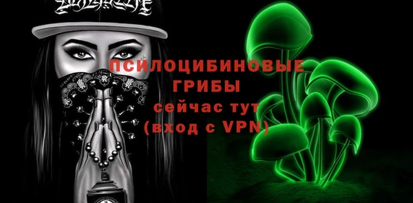 экстази Белокуриха
