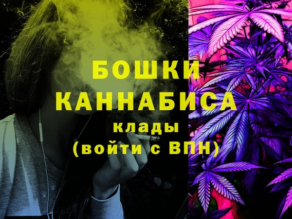 мдпв Богородицк