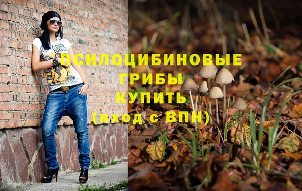 мдпв Богородицк