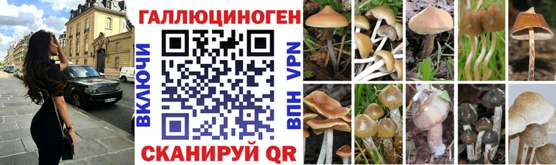 наркотики  Белая Калитва  Галлюциногенные грибы GOLDEN TEACHER 