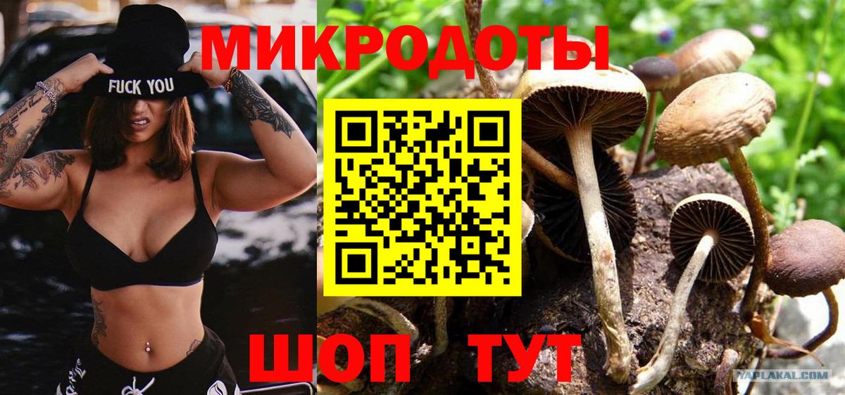 Галлюциногенные грибы GOLDEN TEACHER Белая Калитва